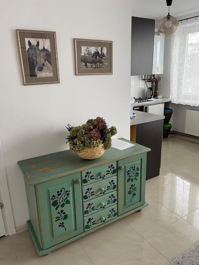 Apartamenty Cud Miod Кросно Екстер'єр фото